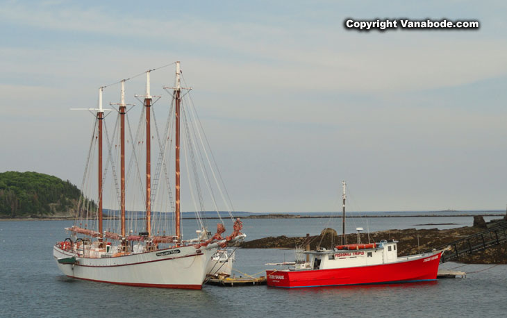 sail and tall ships in bar harbor