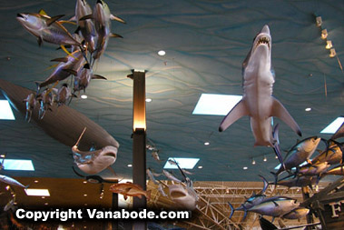 Silverton Casino Bass Pro Shops fishing department picture.