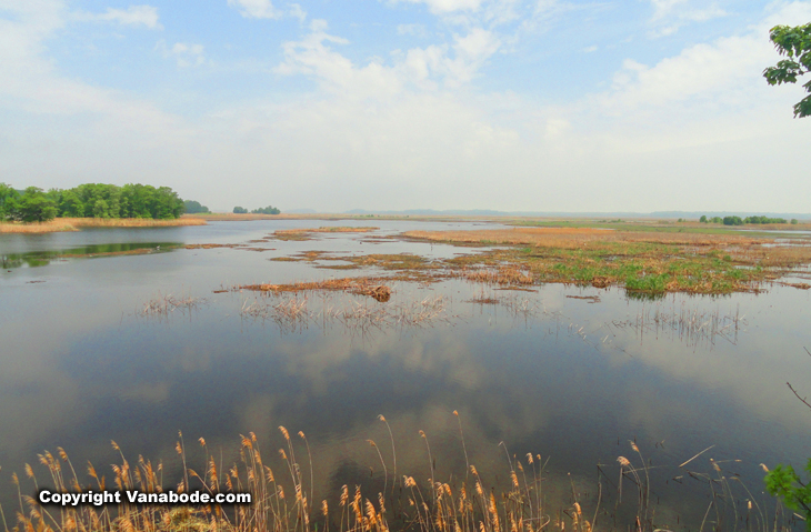 Above: Bombay Hook National Wildlife Refuge lake