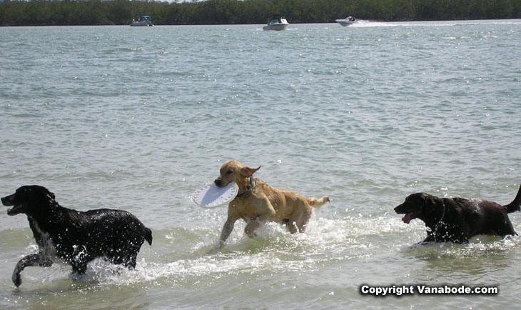 picture of beach day at bonita springs beach
