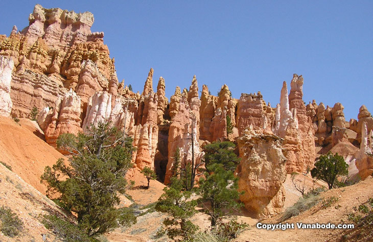 picture taken on bryce canyon national park hike