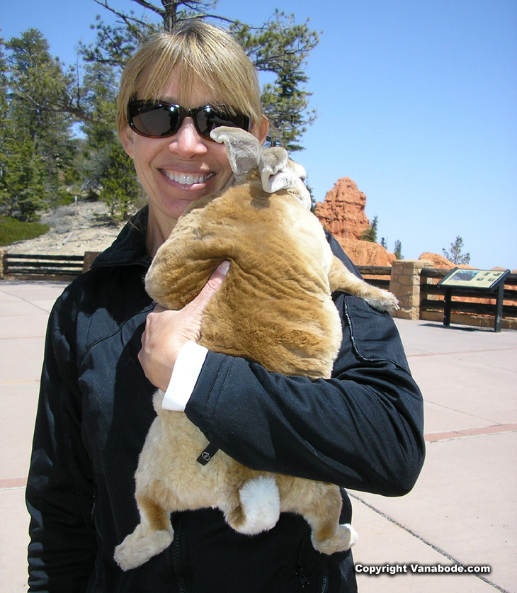 picture of kelly holding bugsy at bryce in utah