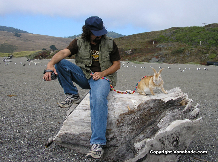 picture of bugsy and jason on a california beach