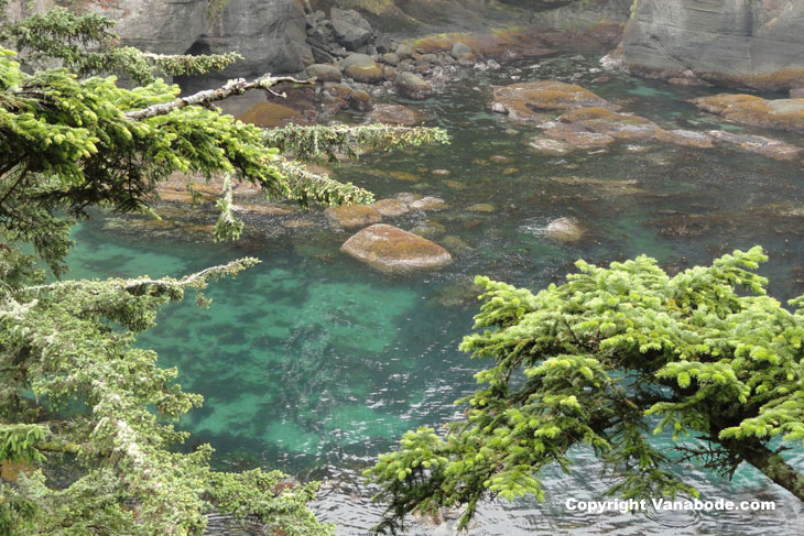picture of the clear blue waters of cape flattery