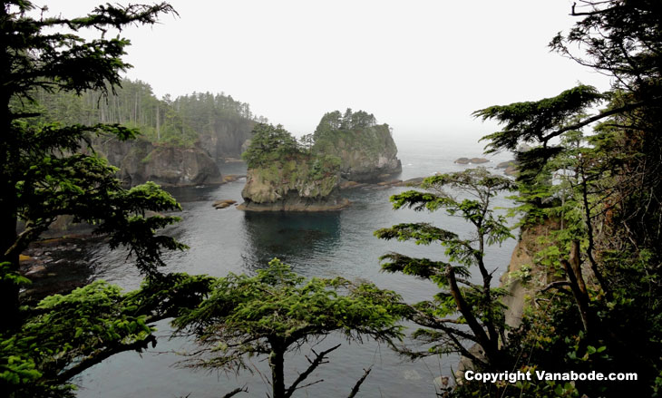 picture taken at cape flattery washington