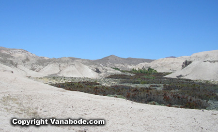 china ranch oasis picture