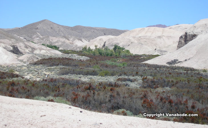 Picture of china ranch tecopa california