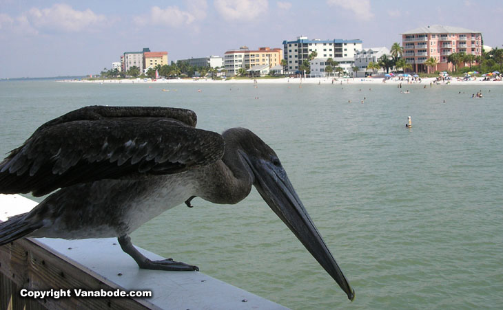 picture taken in fort myers beach