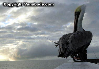 picture of storm in the gulf at fishing pier in fort myers beach