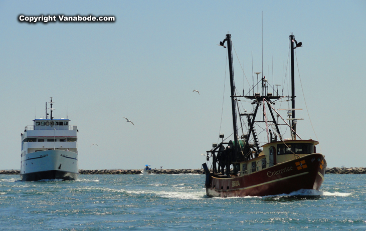 Galilee inlet with fishing boats and cruise ships