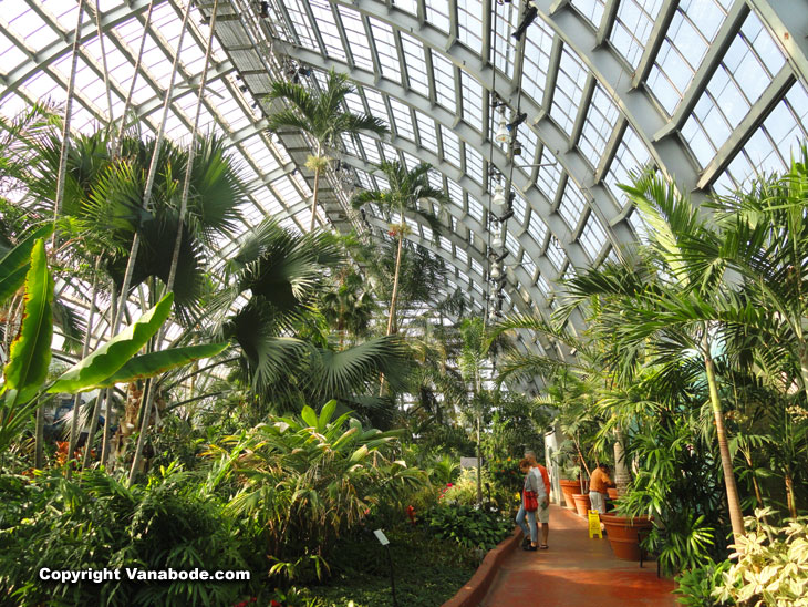garfield conservatory botanical gardens place in chicago