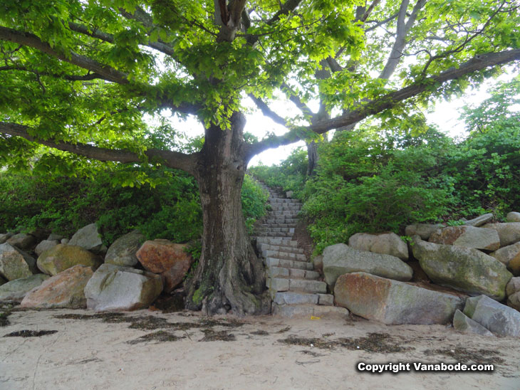 steps to ocean from the forrest in stage fort park  