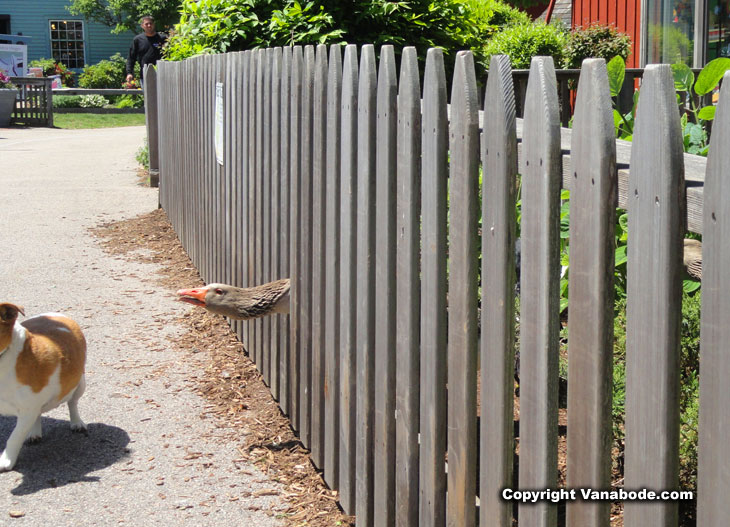 mistick village shopping