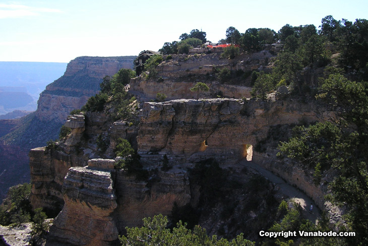 picture of mule trail in the grand canyon