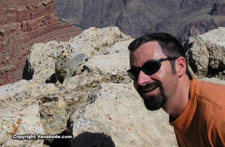 picture of squirrel at the grand canyon