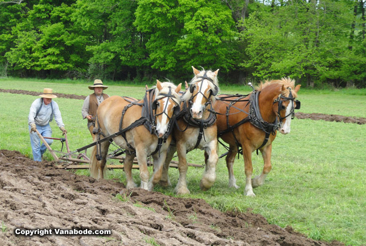 3 horse plow at the howell living history farm