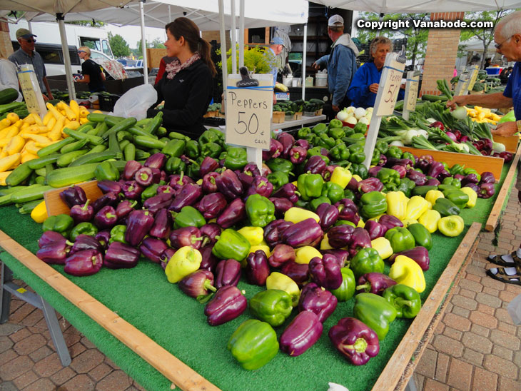 holland farmers market peppers in michigan