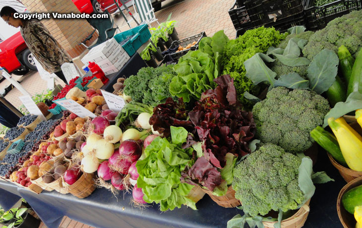 Holland  Farmers Market veggies and fruit
