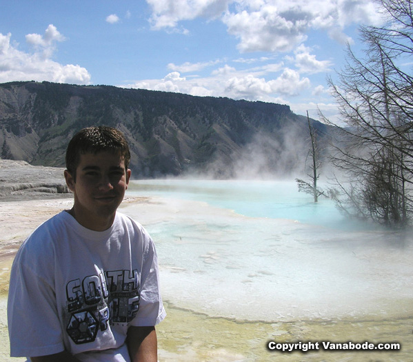 Mammoth Hot Springs picture