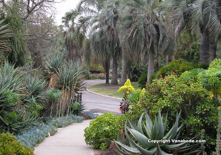 Picture at Huntington Library and Gardens California