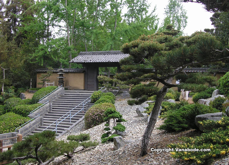 huntington library japanese garden picture