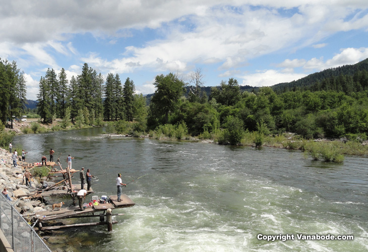 American Indians salmon fishing and catching huge fish near leavenworth Washington at the fish hatchery