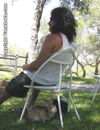 Bugsy and Jason sitting under a shade tree atop one of the big hills of wine plantings in Paso Robles