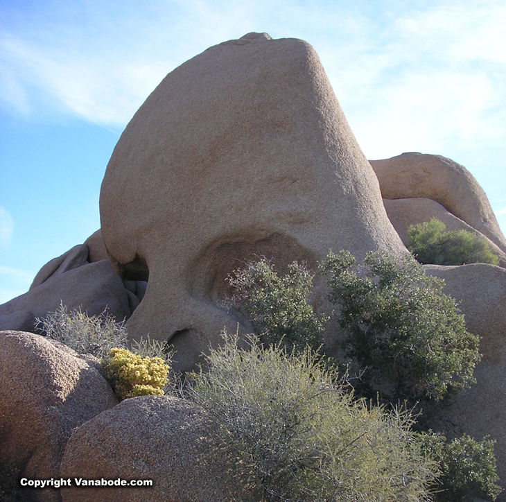 Picture of Skull Rock Joshua Tree  National Park