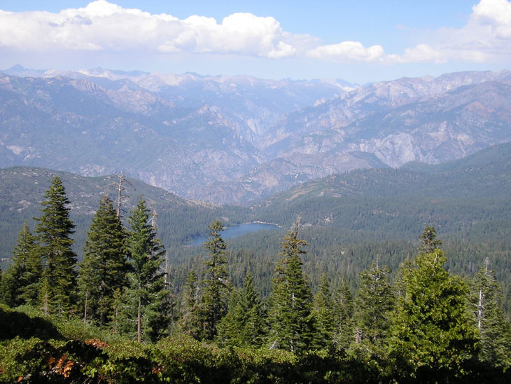 picture taken while driving through King's Canyon National Park 