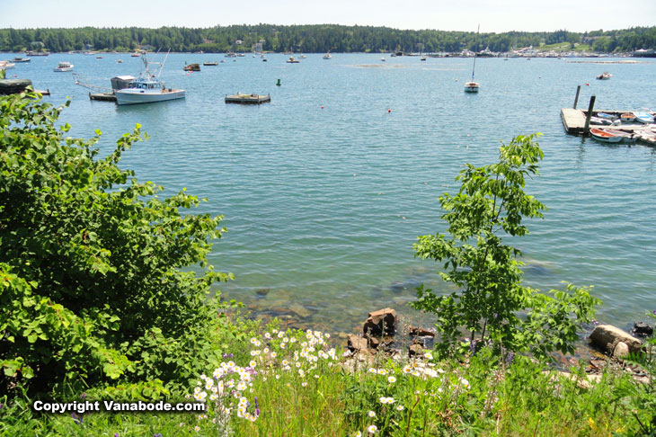 lobster harvesting area in maine