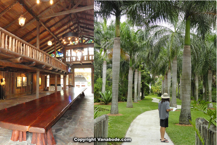 incredible long table made from massive downed tree