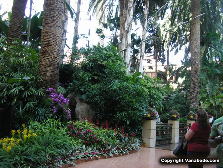 mirage hotel in vegas has massive atrium with full jungle