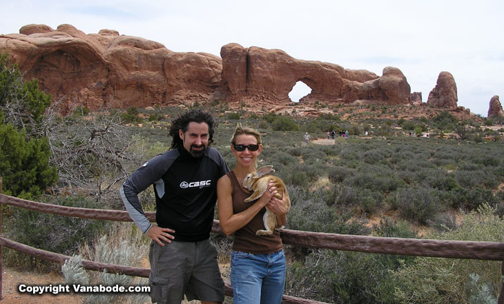 north window arch picture