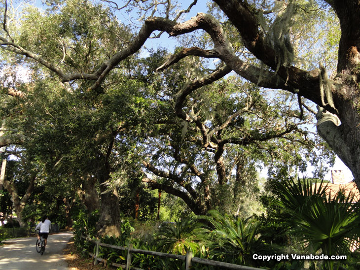 picture of ormond beach scenic route