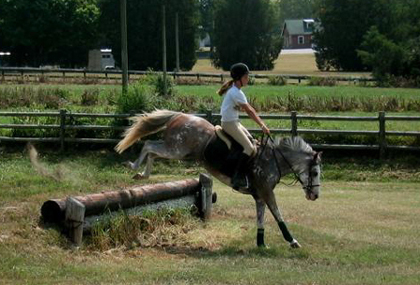 Picture of Percy Warner Park horseback riding
