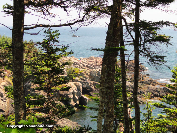 quoddy head cliff views of ocean