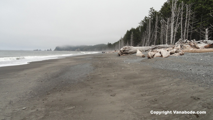 black sand beach pictured here at rialto beach in washington