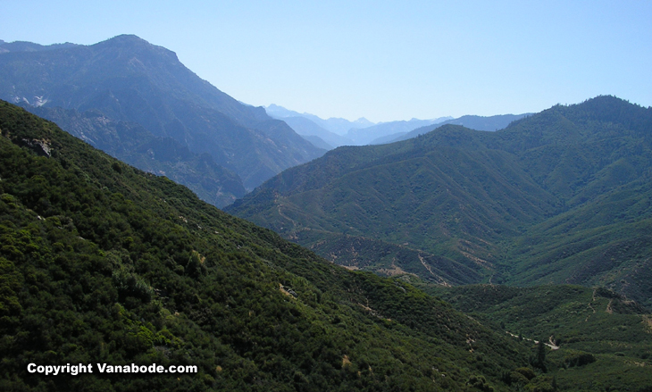 sequoia national forest picture