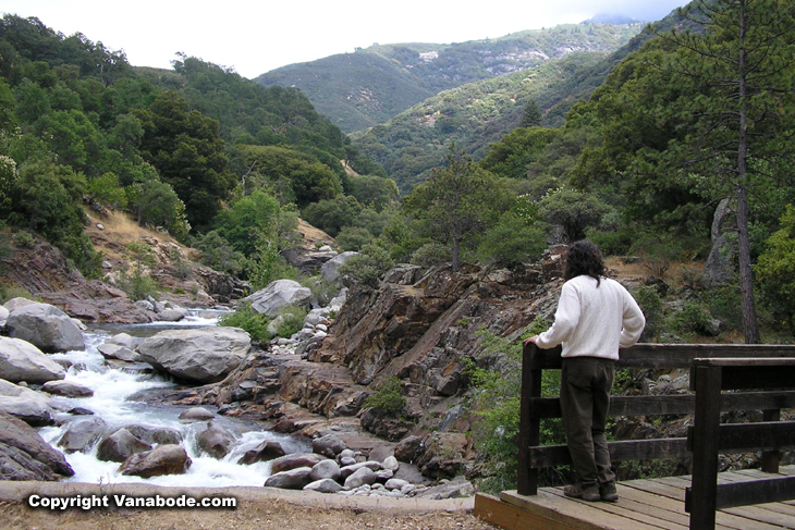 sequoia paradise creek falls picture