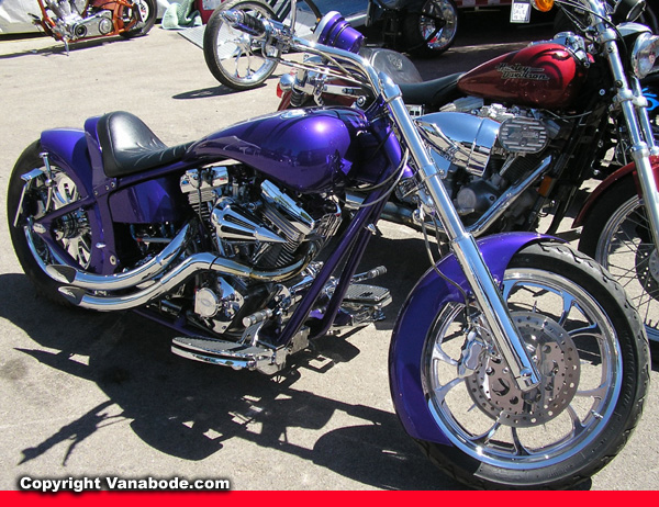 sturgis purple cycle picture