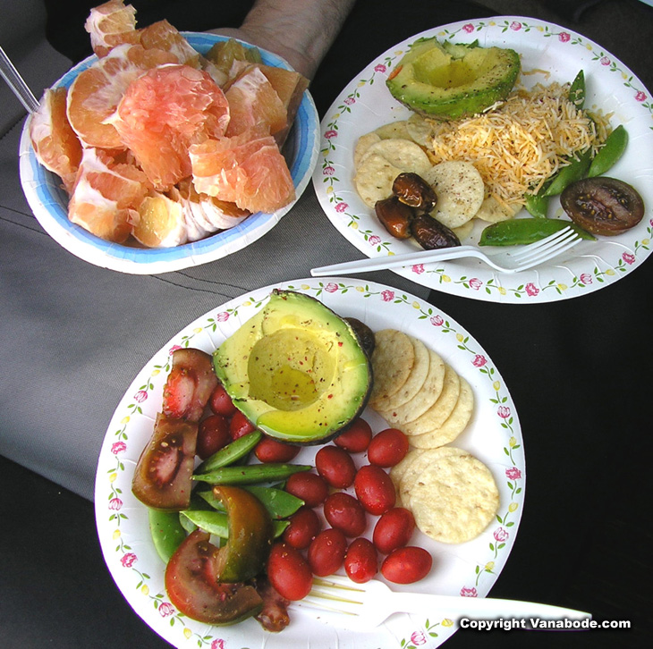 Vanabode sample lunch picture