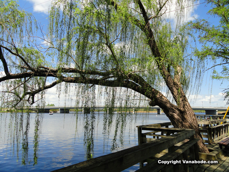 Vanaboding takes us to these kinds of parks for half day funWilmington, Jacksonville, Richlands City parks are fun.