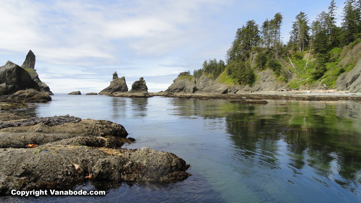 washington coast picture