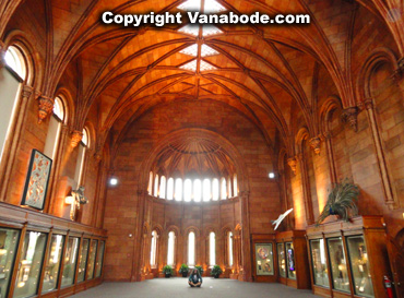 washington dc natrual history museum