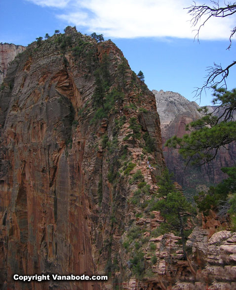 hike to angels landing peak picture