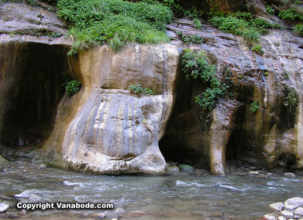 narrows weeping rock picture