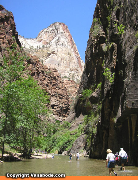 zion narrows picture