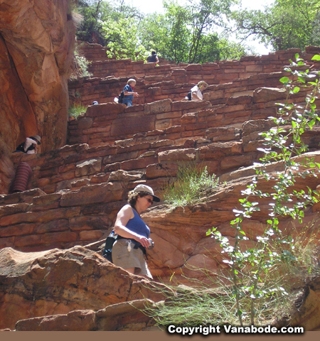 walters wiggles picture